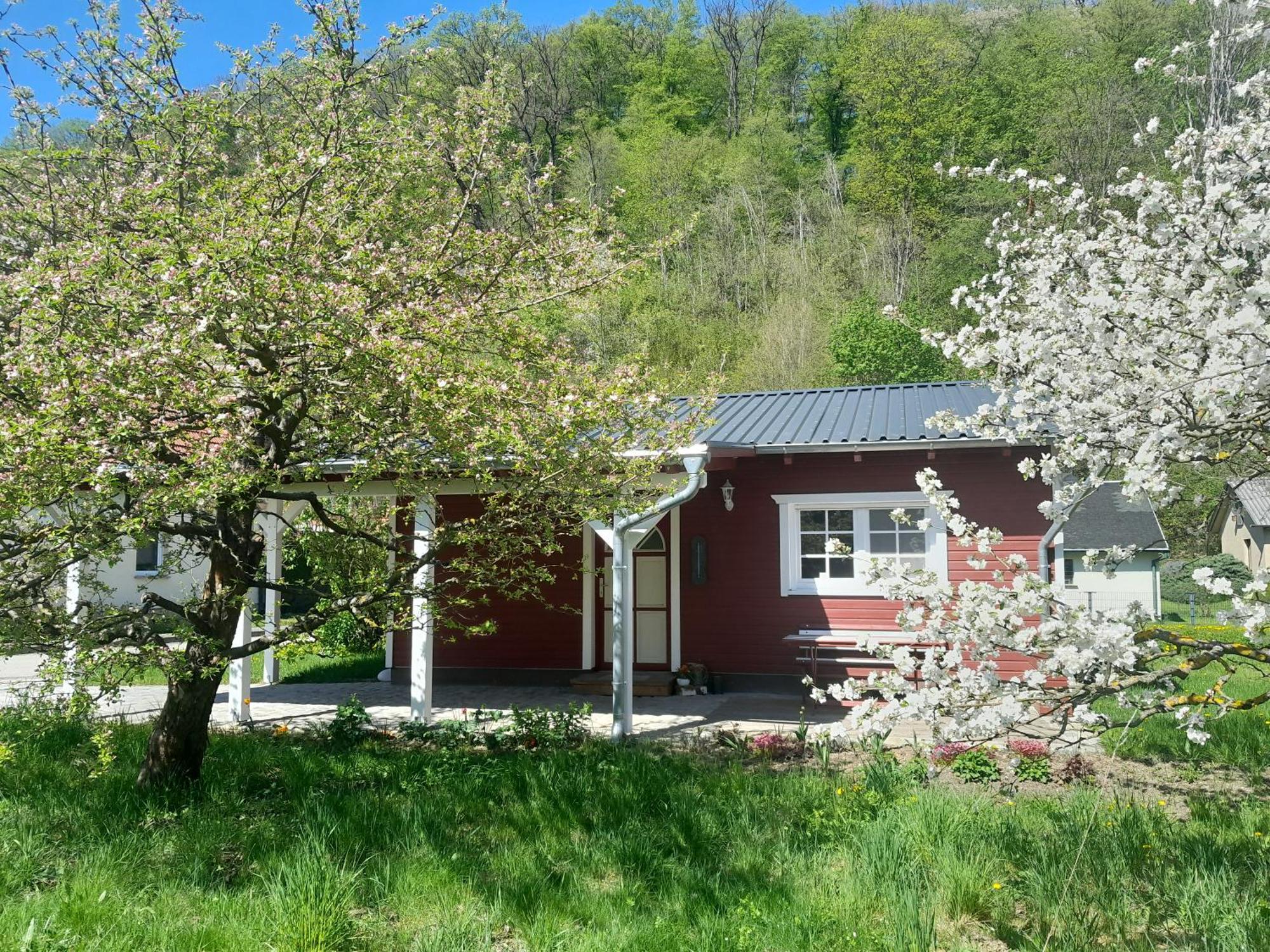 Ferienhaus Am Wald Wippra Kültér fotó